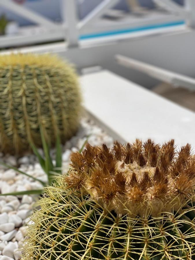 Flower Beach Deluxe プラヤ・オンダ エクステリア 写真
